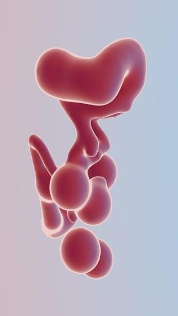 3d shape nets printable pdf